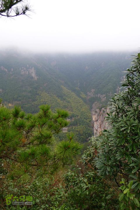 雁荡山罗汉里_百岗尖_大龙湫远处是靛厂村，峡谷里隐约看到一条瀑布