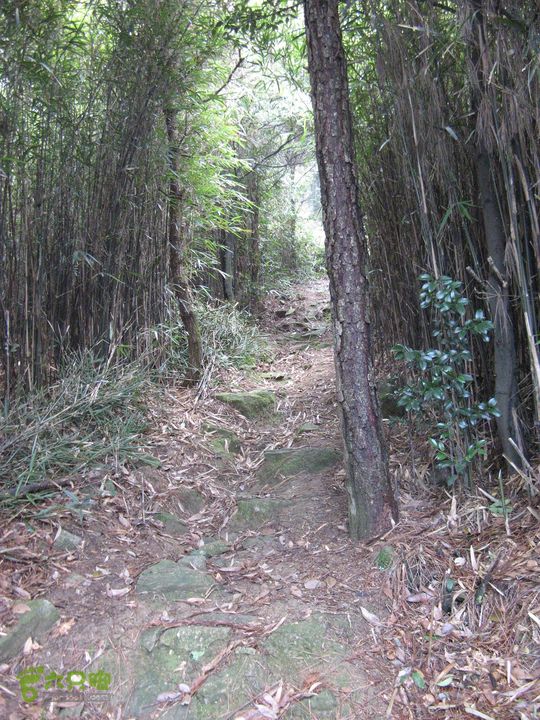 下院-勇路-梅里-石碑林-涌泉寺-古栈道-绝顶峰(下) 208_眸目压缩
