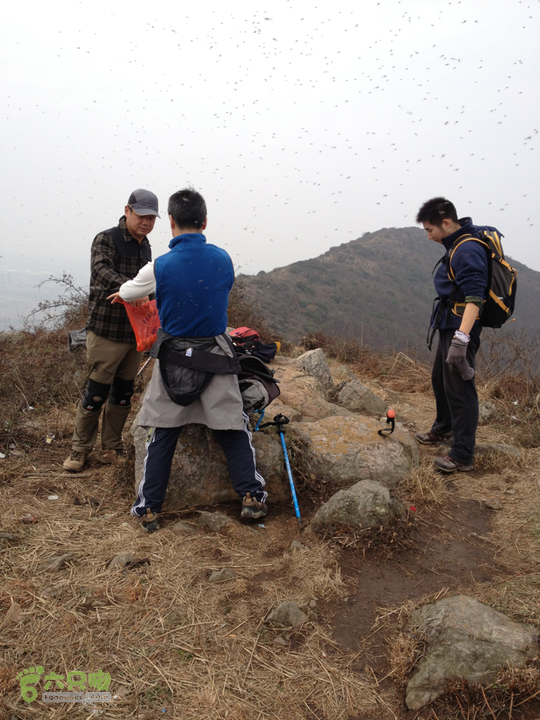 灵树线2013-02-02 13:28:34  大阳山的第一个高峰，海拔大概330米左右