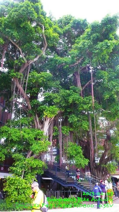 2013 02 03 中太深淺赤石西P1520837