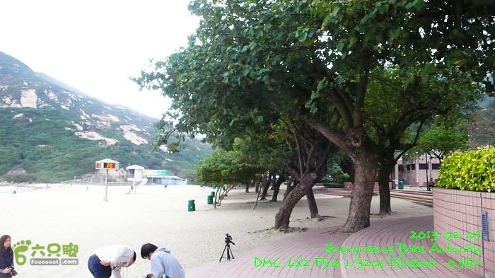 2013 02 03 中太深淺赤石西P1520843