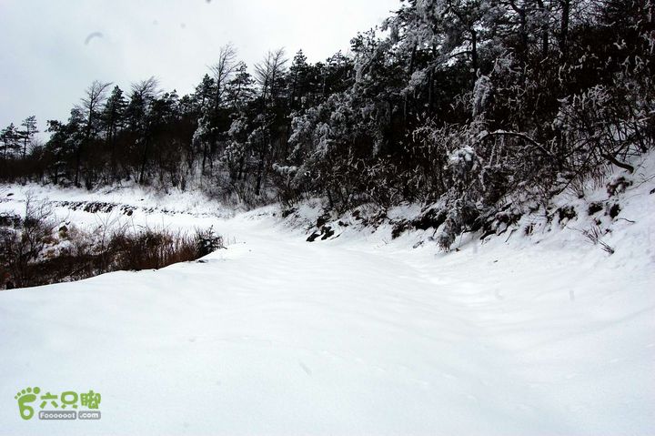 洞坑-商量岗电视塔-东姜-蛤蟒-中峰-里村24 电视塔下的深雪