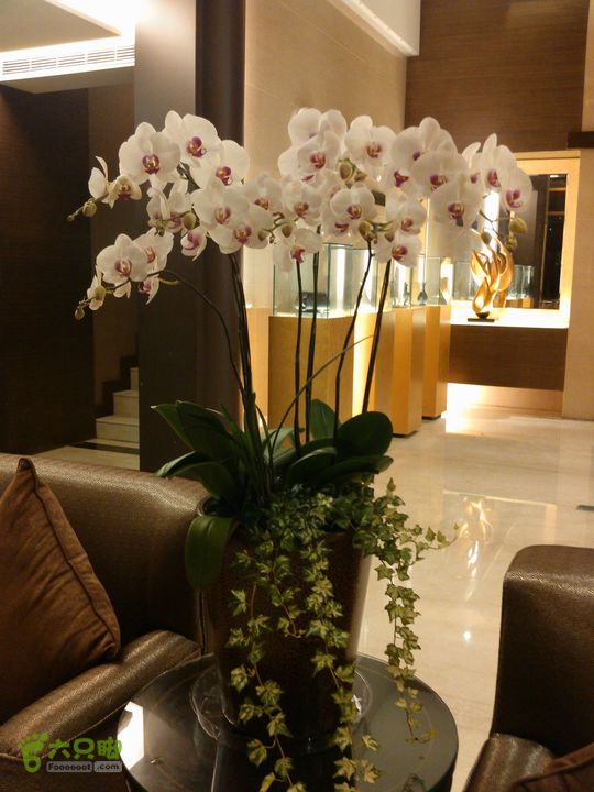 新北市三峡区晚上买水果IMG20120809205601_眸目压缩