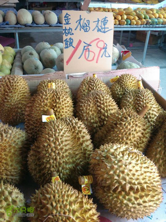 新北市三峡区晚上买水果IMG20120809211318_眸目压缩