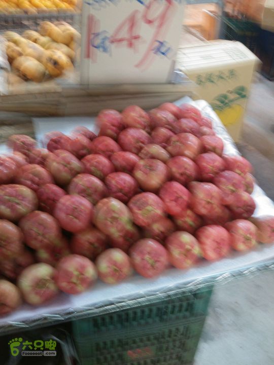 新北市三峡区晚上买水果IMG20120809211347_眸目压缩