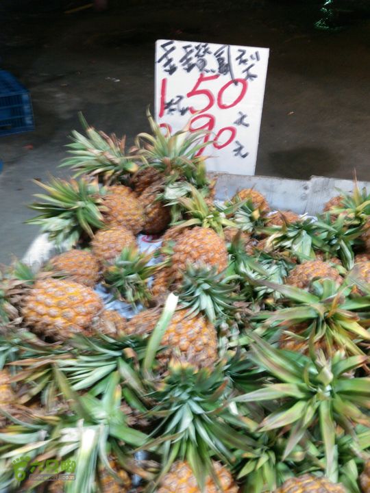 新北市三峡区晚上买水果IMG20120809211513_眸目压缩