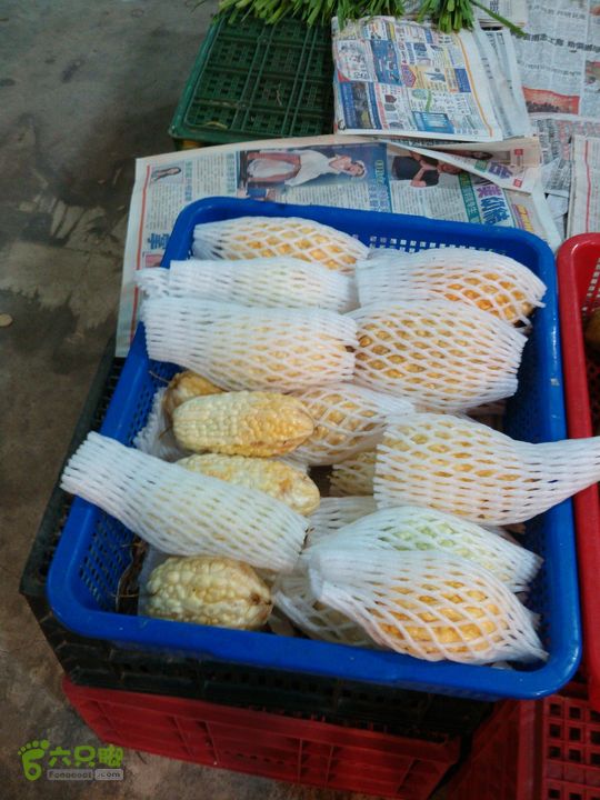新北市三峡区晚上买水果IMG20120809211745_眸目压缩