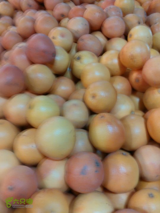 新北市三峡区晚上买水果IMG20120809212318_眸目压缩