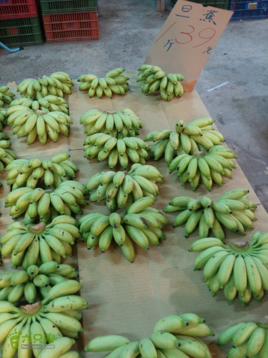 新北市三峡区晚上买水果IMG20120809212739_眸目压缩