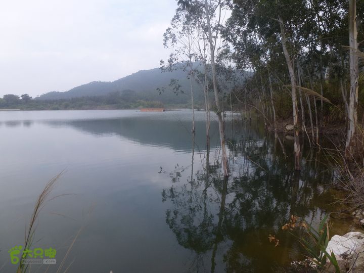 王银环线P1090756