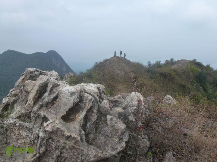 王银环线P1090811