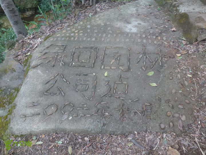 王银环线P1090827