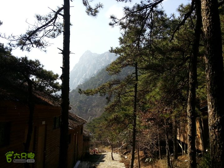 庐山太乙村探路IMG_20130223_134255