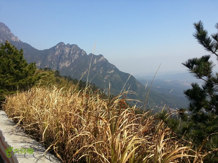 庐山太乙村探路IMG_20130223_142600