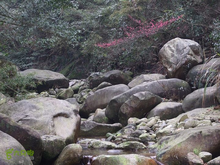 明月山下水口-上水口-牛岭-十八窝-江源-里田-温汤25