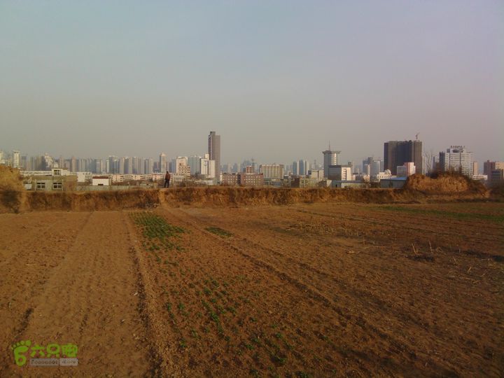 周山森林公园漫步IMG_20130302_164751