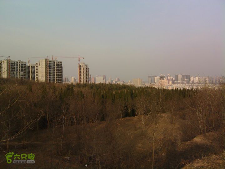 周山森林公园漫步IMG_20130302_170514