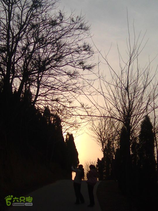 周山森林公园漫步IMG_20130302_173414