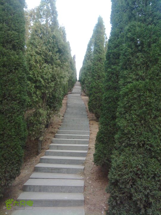 周山森林公园漫步IMG_20130302_173610