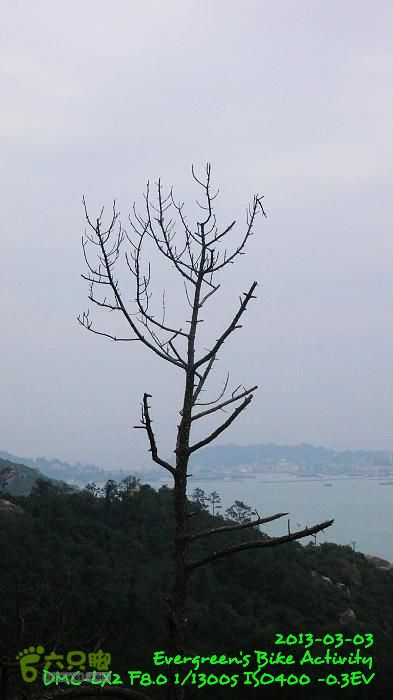 2013 03 03 順環大嶼山P1530432