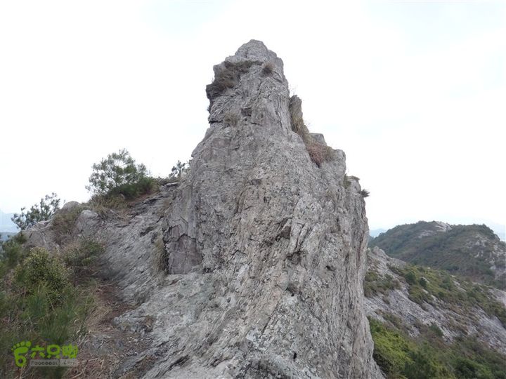 岙底陈—白岩山—石柱峰psbCA2VHO08