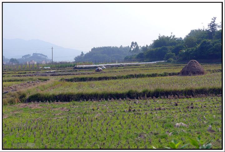 2013.01.27云勇宅梧骑行P1090844 副本