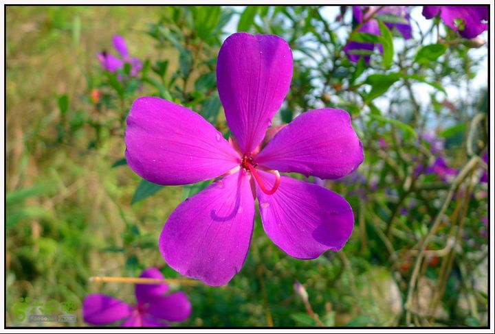 2013.01.27云勇宅梧骑行P1090851 副本