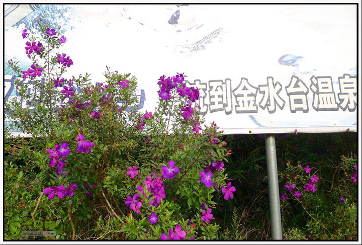 2013.01.27云勇宅梧骑行P1090856 副本