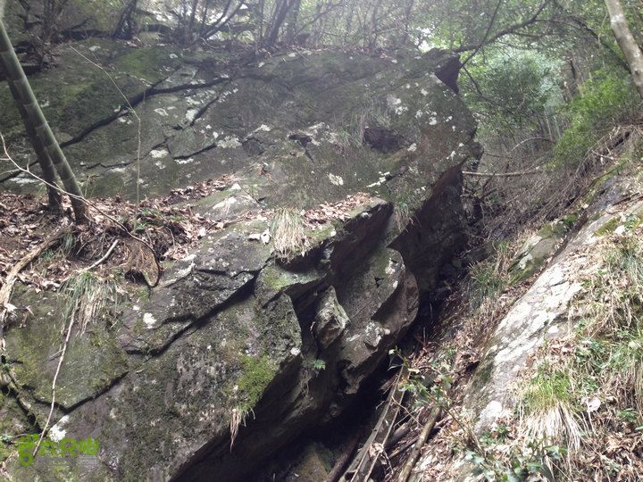 登顶宜春最高峰--太平山1736宜春太平山023