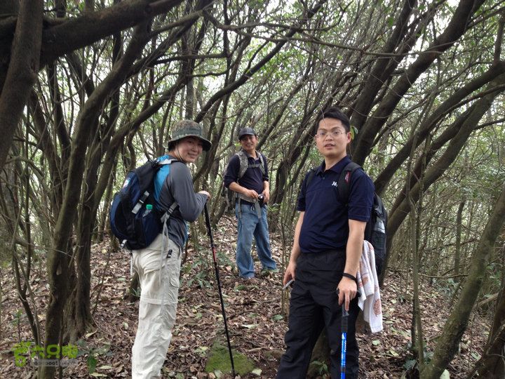 登顶宜春最高峰--太平山1736宜春太平山028