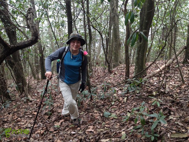 登顶宜春最高峰--太平山1736宜春太平山034