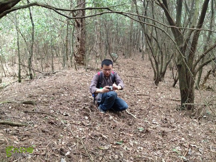 登顶宜春最高峰--太平山1736宜春太平山042