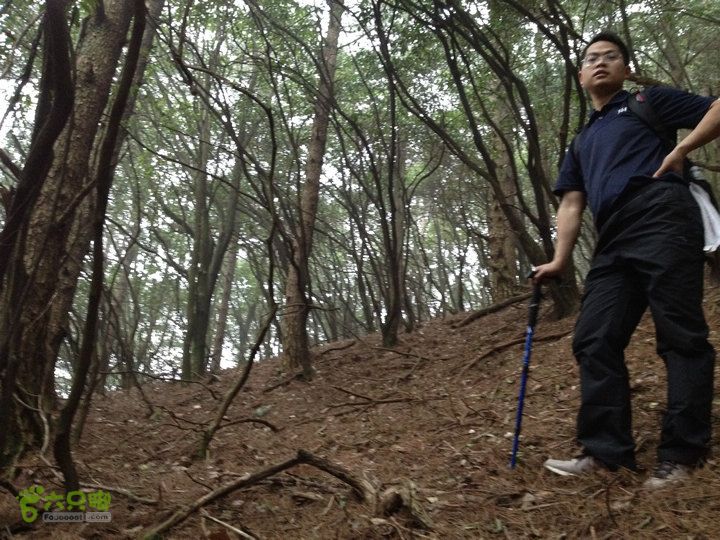 登顶宜春最高峰--太平山1736宜春太平山043