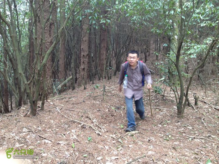 登顶宜春最高峰--太平山1736宜春太平山055