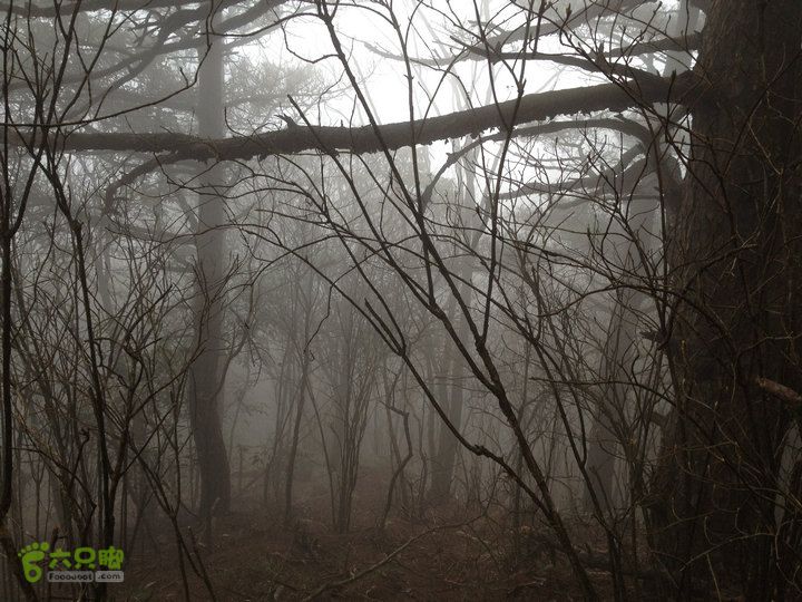 登顶宜春最高峰--太平山1736宜春太平山062