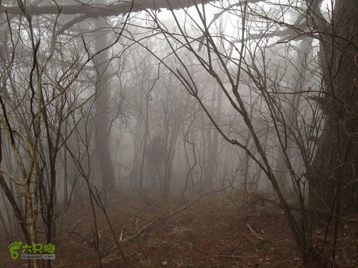 登顶宜春最高峰--太平山1736宜春太平山063