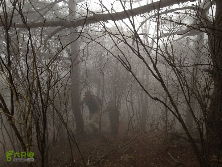 登顶宜春最高峰--太平山1736宜春太平山064