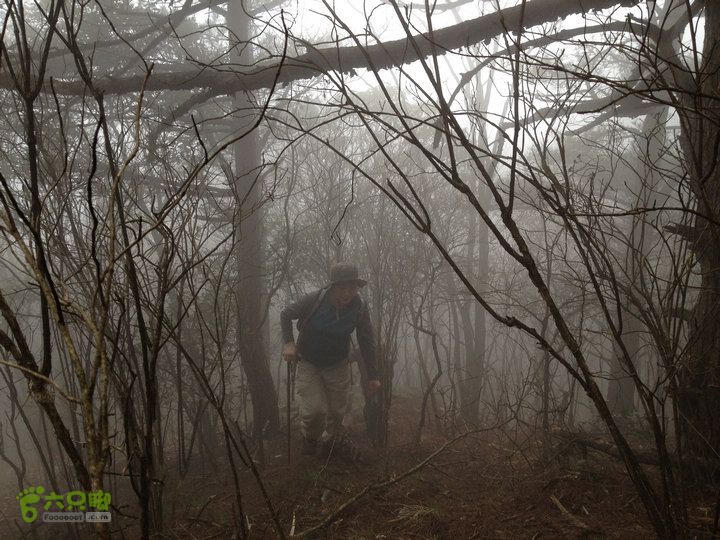 登顶宜春最高峰--太平山1736宜春太平山065