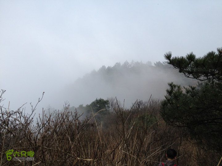 登顶宜春最高峰--太平山1736宜春太平山078