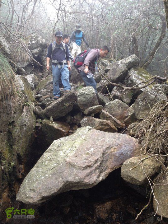 登顶宜春最高峰--太平山1736宜春太平山088