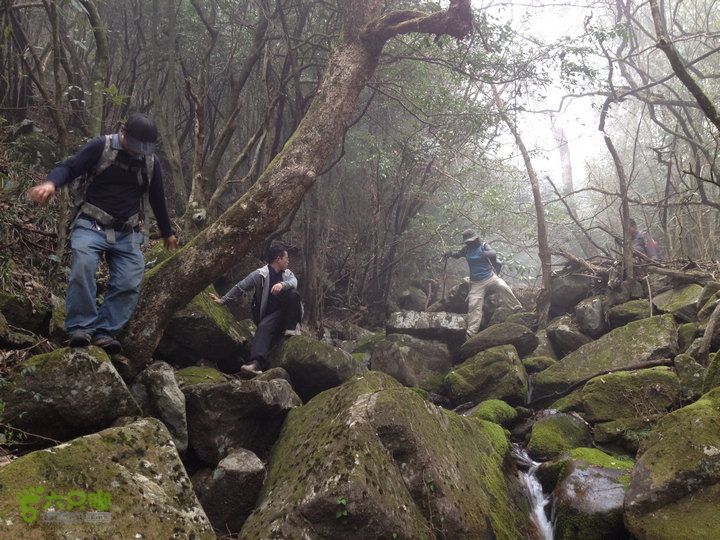 登顶宜春最高峰--太平山1736宜春太平山096