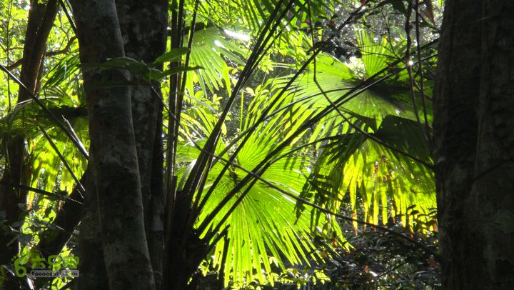 20130228-海南尖峰岭骑行DSC00271