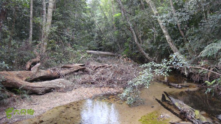 20130228-海南尖峰岭骑行DSC00239