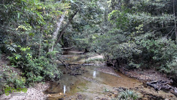 20130228-海南尖峰岭骑行DSC00241