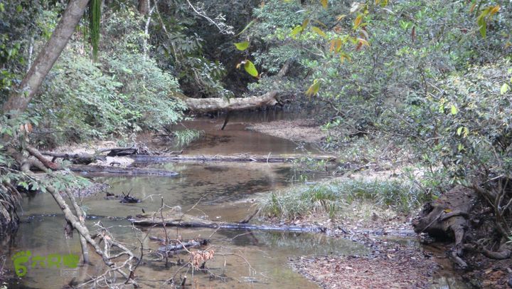 20130228-海南尖峰岭骑行DSC00247