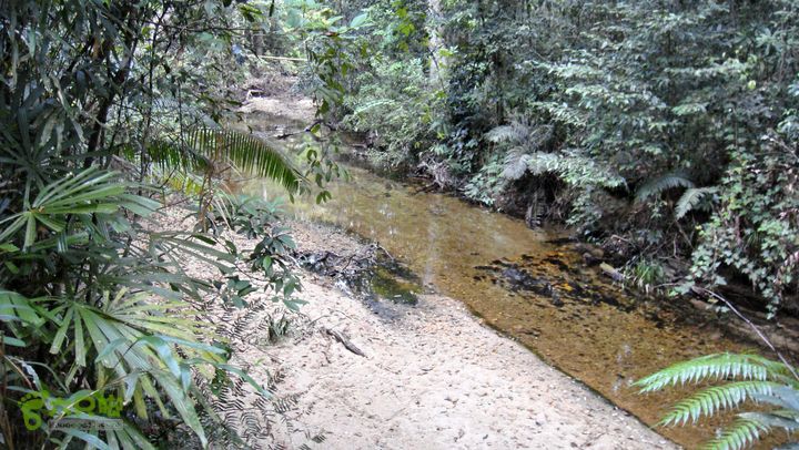 20130228-海南尖峰岭骑行DSC00253