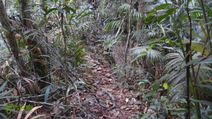 20130228-海南尖峰岭骑行DSC00259