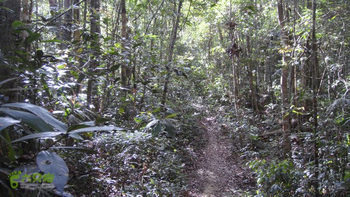 20130228-海南尖峰岭骑行DSC00262