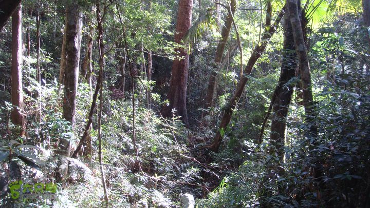 20130228-海南尖峰岭骑行DSC00270