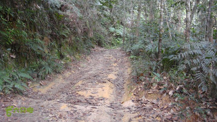 20130228-海南尖峰岭骑行DSC00276